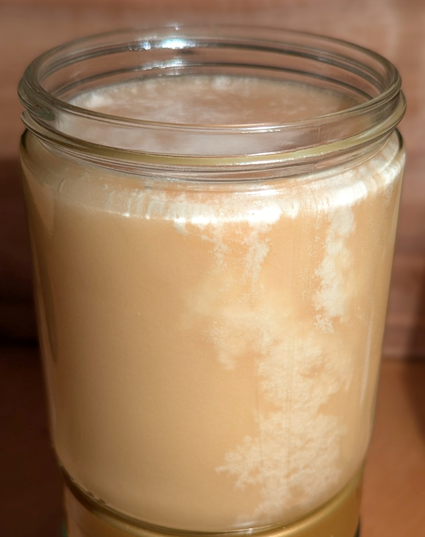 Blütenbildung im Honigglas